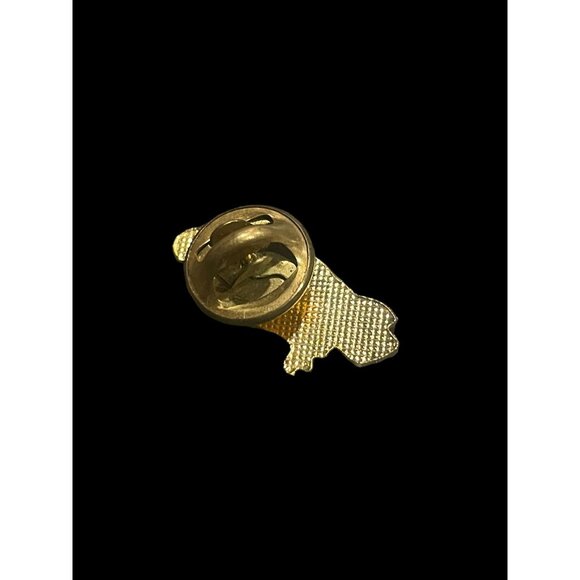 Vintage North America White Tail Bald Eagle Bird Fashion Brooch Pin Jewelry - Picture 2 of 4